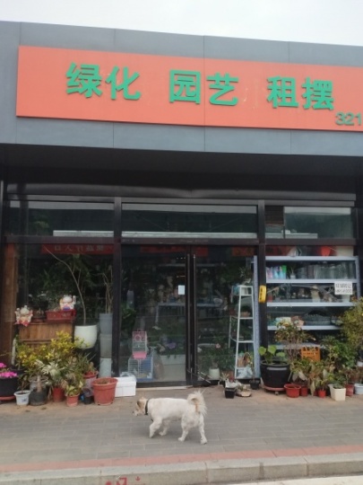 东潞园市场经营中的绿植店转让